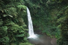 Indonesia, Bali, Nung Nung, Waterfall, Fainforest