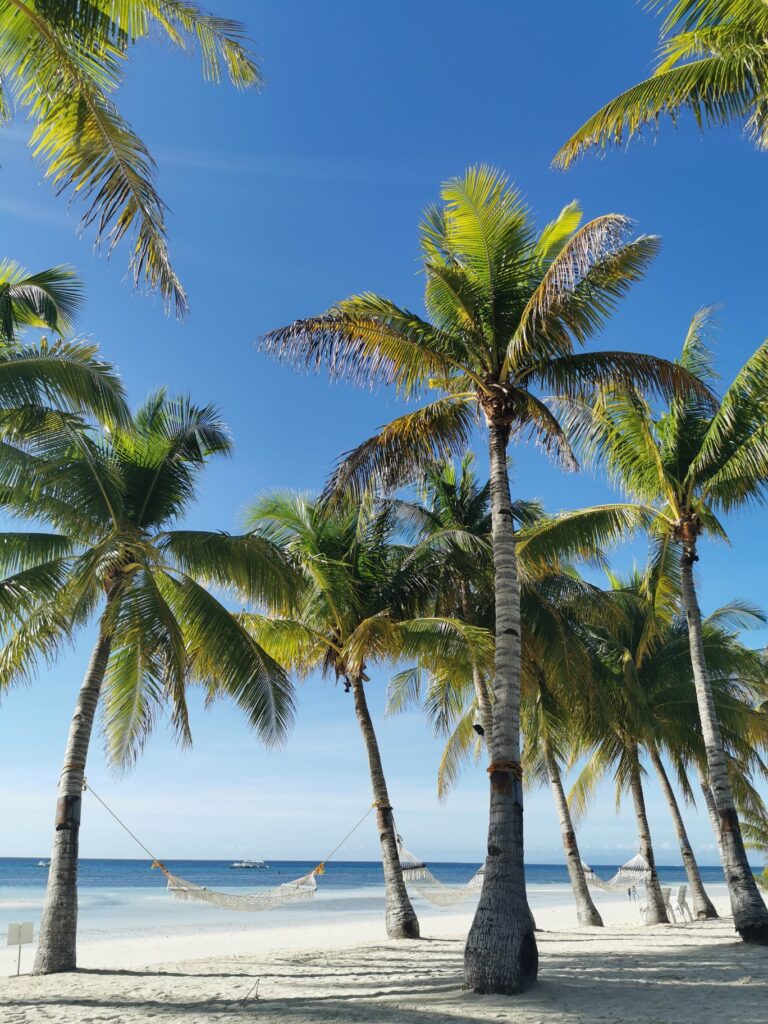 Bohol Beach Club Filippines Bohol