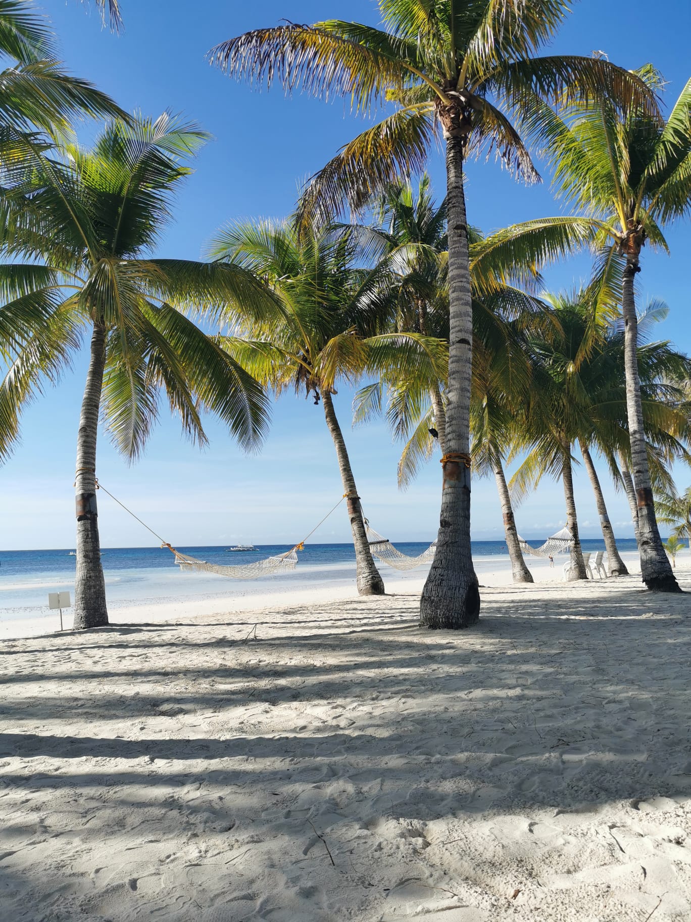 Bohol Beach Club Filippines Bohol