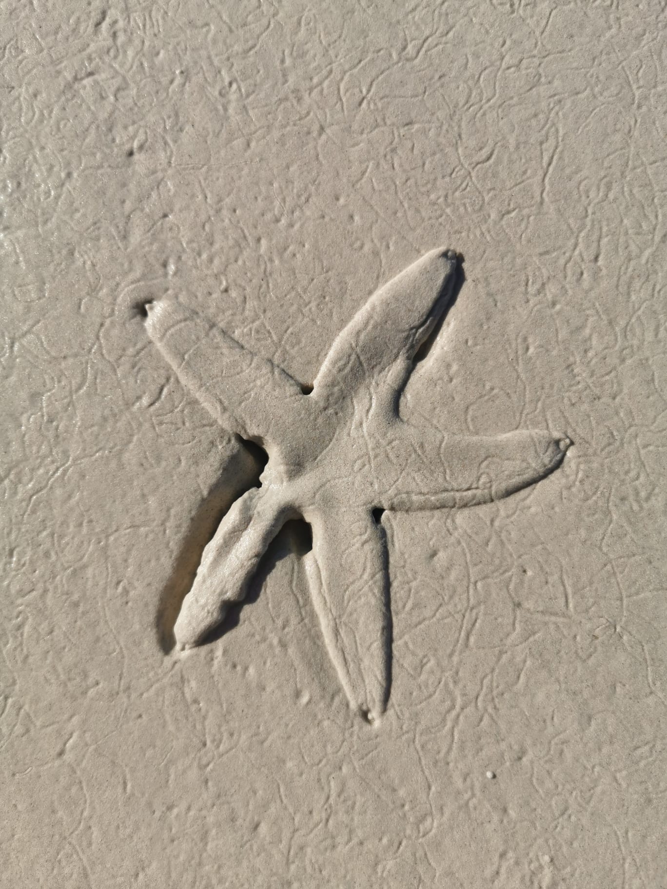 Bohol Beach Club Filippines Bohol